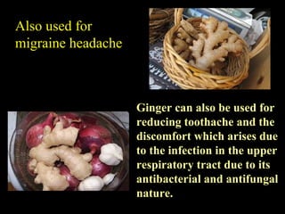 Also used for migraine headache Ginger can also be used for reducing toothache and the discomfort which arises due to the  infection in the upper  respiratory tract due to its antibacterial and antifungal nature. 
