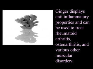 Ginger displays anti inflammatory properties and can be used to treat rheumatoid arthritis, osteoarthritis, and various other muscular disorders.   