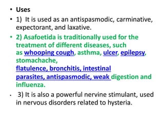 gingerasafoetida.pptx