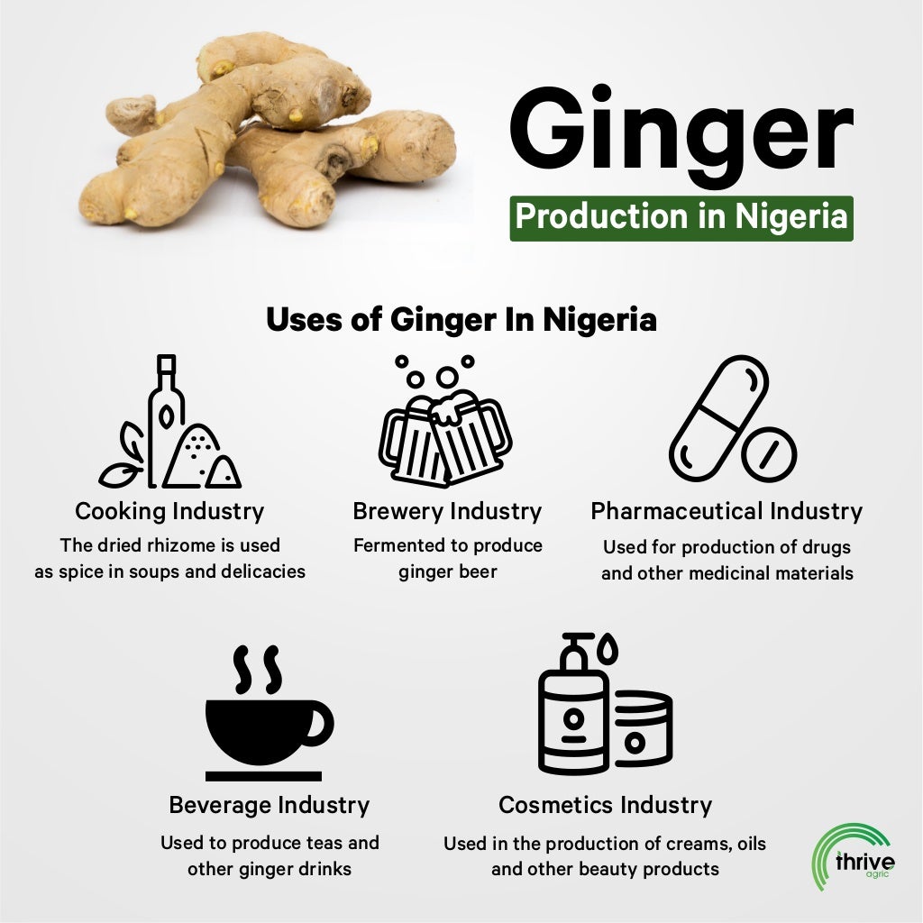 Statistics on Ginger Production in Nigeria