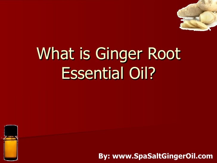 Amazing Uses Of Ginger Root Essential Oil