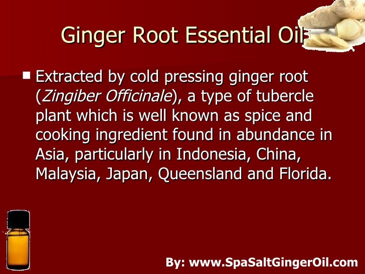Amazing Uses Of Ginger Root Essential Oil