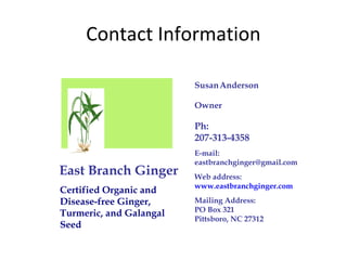 Contact Information

                         Susan Anderson

                         Owner

                         Ph:
                         207-313-4358
                         E-mail:
                         eastbranchginger@gmail.com
East Branch Ginger       Web address:
                         www.eastbranchginger.com
Certified Organic and
Disease-free Ginger,     Mailing Address:
                         PO Box 321
Turmeric, and Galangal
                         Pittsboro, NC 27312
Seed
 