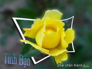 Tình Bạn phải chân thành 