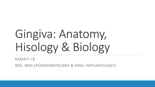 Gingiva: Anatomy,
Hisology & Biology
KAMAIT LB
BDS, MDS (PERIODONTOLOGY & ORAL IMPLANTOLOGY)
 