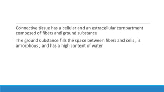 Connective tissue has a cellular and an extracellular compartment
composed of fibers and ground substance
The ground substance fills the space between fibers and cells , is
amorphous , and has a high content of water
 