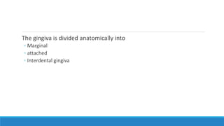 The gingiva is divided anatomically into
◦ Marginal
◦ attached
◦ Interdental gingiva
 