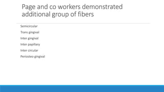 Page and co workers demonstrated
additional group of fibers
Semicircular
Trans gingival
Inter gingival
Inter papillary
Inter circular
Periosteo gingival
 