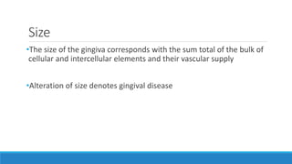 Size
•The size of the gingiva corresponds with the sum total of the bulk of
cellular and intercellular elements and their vascular supply
•Alteration of size denotes gingival disease
 