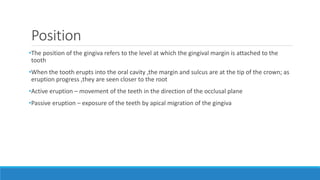 Position
•The position of the gingiva refers to the level at which the gingival margin is attached to the
tooth
•When the tooth erupts into the oral cavity ,the margin and sulcus are at the tip of the crown; as
eruption progress ,they are seen closer to the root
•Active eruption – movement of the teeth in the direction of the occlusal plane
•Passive eruption – exposure of the teeth by apical migration of the gingiva
 