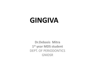GINGIVA
Dr.Debasis Mitra
1st year MDS student
DEPT. OF PERIODONTICS
GNIDSR
 