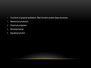 • Functions of gingival epithelium: Main function protect deep structures.
1. Mechanical protection
2. Chemical protection
3. Microbial barrier
4. Signaling function
 