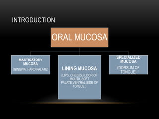 INTRODUCTION
ORAL MUCOSA
MASTICATORY
MUCOSA
(GINGIVA, HARD PALATE) LINING MUCOSA
(LIPS, CHEEKS,FLOOR OF
MOUTH, SOFT
PALATE,VENTRAL SIDE OF
TONGUE )
SPECIALIZED
MUCOSA
(DORSUM OF
TONGUE)
 