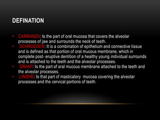 DEFINATION
• CARRANZA: Is the part of oral mucosa that covers the alveolar
processes of jaw and surrounds the neck of teeth.
• SCHROEDER: It is a combination of epithelium and connective tissue
and is defined as that portion of oral mucous membrane, which in
complete post- eruptive dentition of a healthy young individual surrounds
and is attached to the teeth and the alveolar processes.
• GRANT: Is the part of oral mucous membrane attached to the teeth and
the alveolar processes.
• LINDHE: Is that part of masticatory mucosa covering the alveolar
processes and the cervical portions of teeth.
 