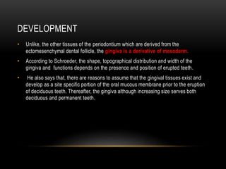DEVELOPMENT
• Unlike, the other tissues of the periodontium which are derived from the
ectomesenchymal dental follicle, the gingiva is a derivative of mesoderm.
• According to Schroeder, the shape, topographical distribution and width of the
gingiva and functions depends on the presence and position of erupted teeth.
• He also says that, there are reasons to assume that the gingival tissues exist and
develop as a site specific portion of the oral mucous membrane prior to the eruption
of deciduous teeth. Thereafter, the gingiva although increasing size serves both
deciduous and permanent teeth.
 
