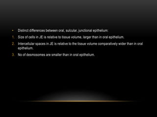 • Distinct differences between oral, sulcular, junctional epithelium:
1. Size of cells in JE is relative to tissue volume, larger than in oral epithelium.
2. Intercellular spaces in JE is relative to the tissue volume comparatively wider than in oral
epithelium.
3. No of desmosomes are smaller than in oral epithelium.
 