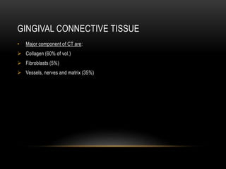 GINGIVAL CONNECTIVE TISSUE
• Major component of CT are:
 Collagen (60% of vol.)
 Fibroblasts (5%)
 Vessels, nerves and matrix (35%)
 