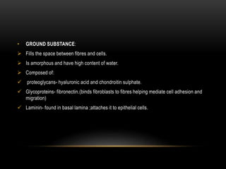 • GROUND SUBSTANCE:
 Fills the space between fibres and cells.
 Is amorphous and have high content of water.
 Composed of:
 proteoglycans- hyaluronic acid and chondroitin sulphate.
 Glycoproteins- fibronectin.(binds fibroblasts to fibres helping mediate cell adhesion and
migration)
 Laminin- found in basal lamina ;attaches it to epithelial cells.
 