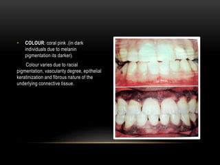 • COLOUR: coral pink .(in dark
individuals due to melanin
pigmentation its darker).
Colour varies due to racial
pigmentation, vascularity degree, epithelial
keratinization and fibrous nature of the
underlying connective tissue.
 