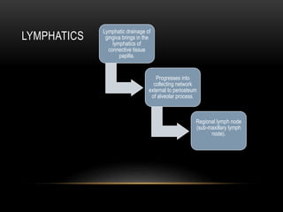 LYMPHATICS
Lymphatic drainage of
gingiva brings in the
lymphatics of
connective tissue
papilla.
Progresses into
collecting network
external to periosteum
of alveolar process.
Regional lymph node
(sub-maxillary lymph
node).
 