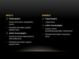 :
 Palatal gingiva
• Incisors and canine- nasopalatine
nerves
• Premolars and molars- greater
palatine nerve.
 Labial / buccal gingiva
• Incisors an canine- labial branch of
infra orbital nerve
• Premolars and molars- superior
alveolar nerve.
:
 Lingual gingiva
• lingual nerve
 Labial / buccal gingiva
• Incisors, canine,
premolars(occasionally)- mental nerve
• Premolars and molars- long buccal
nerve
 