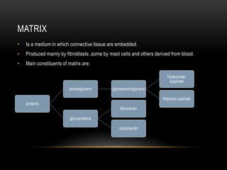 MATRIX
• Is a medium in which connective tissue are embedded.
• Produced mainly by fibroblasts ,some by mast cells and others derived from blood.
• Main constituents of matrix are:
proteins
proteoglycans glycosaminoglycans
Hyaluronan
sulphate
Heparan suphate
glycoproteins
fibronectin
osteonectin
 