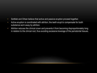 • Gottlieb and Orban believe that active and passive eruption proceed together.
• Active eruption is coordinated with attrition; the teeth erupt to compensate for tooth
substance worn away by attrition.
• Attrition reduces the clinical crown and prevents it from becoming disproportionately long
in relation to the clinical root, thus avoiding excessive leverage of the periodontal tissues.
 