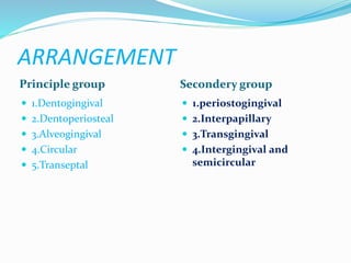 ARRANGEMENT
Principle group Secondery group
 1.Dentogingival
 2.Dentoperiosteal
 3.Alveogingival
 4.Circular
 5.Transeptal
 1.periostogingival
 2.Interpapillary
 3.Transgingival
 4.Intergingival and
semicircular
 