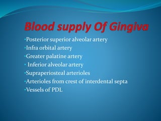 •Posterior superior alveolar artery
•Infra orbital artery
•Greater palatine artery
• Inferior alveolar artery
•Supraperiosteal arterioles
•Arterioles from crest of interdental septa
•Vessels of PDL
 