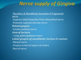 •Maxillary & Mandibular branches of Trigeminal
nerve
•Superior labial branches from infraorbital nerve
•Posterior superior alveolar nerve
Palatal gingiva
•Greater palatine nerve
Area of incisors
• Long sphenopalatine nerve
Labial gingiva of mandibular incisors & canines
•Mental nerve
•Gingiva at buccal aspect of molars
•Buccal nerve
 
