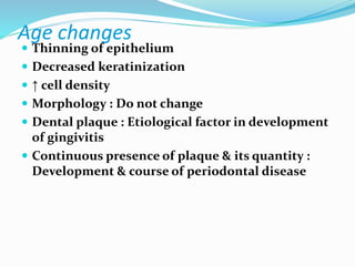Age changes
 Thinning of epithelium
 Decreased keratinization
 ↑ cell density
 Morphology : Do not change
 Dental plaque : Etiological factor in development
of gingivitis
 Continuous presence of plaque & its quantity :
Development & course of periodontal disease
 