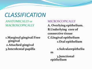 CLASSIFICATION
ANATOMICALLY or
MACROSCOPICALLY
1.Marginal gingival/Free
gingival
2.Attached gingival
3.Interdental papilla
MICROSCOPICALLY
A. Overlying epithelium.
B.Underlying core of
connective tissue
C.Gingival epithelium
1.Oral epithelium
2.Sulcularepitheliu
m
3.Junctional
epithelium
 