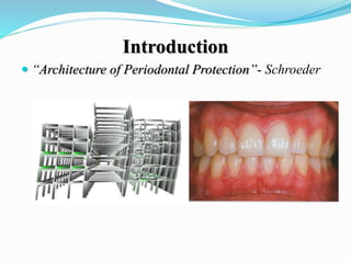 Introduction
 “Architecture of Periodontal Protection”- Schroeder
 