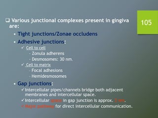 105 Various junctional complexes present in gingiva
are:
• Tight junctions/Zonae occludens
• Adhesive junctions:
 Cell to cell
– Zonula adherens
– Desmosomes: 30 nm.
 Cell to matrix
– Focal adhesions
– Hemidesmosomes
• Gap junctions:
Intercellular pipes/channels bridge both adjacent
membranes and intercellular space.
Intercellular space in gap junction is approx. 3 nm.
Major pathway for direct intercellular communication.
 