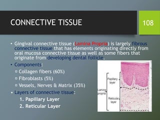 CONNECTIVE TISSUE
• Gingival connective tissue (Lamina Propria) is largely fibrous
connective tissue that has elements originating directly from
oral mucosa connective tissue as well as some fibers that
originate from developing dental follicle.
• Components:
Collagen fibers (60%)
Fibroblasts (5%)
Vessels, Nerves & Matrix (35%)
• Layers of connective tissue:
1. Papillary Layer
2. Reticular Layer
108
 