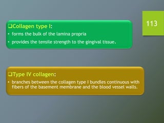 113Collagen type I:
• forms the bulk of the lamina propria
• provides the tensile strength to the gingival tissue.
Type IV collagen:
• branches between the collagen type I bundles continuous with
fibers of the basement membrane and the blood vessel walls.
 