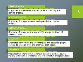 DENTOGINGIVAL
Originates from cementum and spreads laterally into
lamina propria.
ALVEOLOGINGIVAL
Originates from periosteum and spreads into lamina
propria.
DENTOPERIOSTEAL
Originates from cementum near CEJ into periosteum of
alveolar crest.
CIRCULAR
Originates from within the free marginal and attached gingiva
coronal to alveolar crest and encircles each tooth.
TRANSEPTAL
Originates from interproximal cementum coronal to crest and courses
mesially and distally in interdental area into cementum of adjacent teeth.
118
 