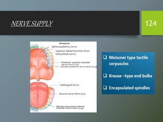 NERVE SUPPLY 124
 