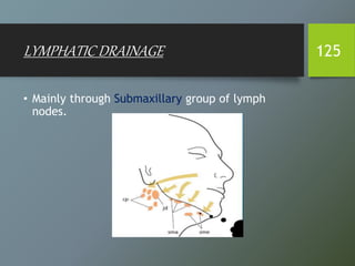 LYMPHATIC DRAINAGE 125
• Mainly through Submaxillary group of lymph
nodes.
 