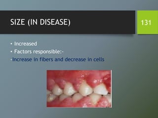 SIZE (IN DISEASE)
• Increased
• Factors responsible:-
-Increase in fibers and decrease in cells
131
 