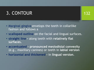 3. CONTOUR
• Marginal gingiva envelops the teeth in collarlike
fashion and follows a
• scalloped outline on the facial and lingual surfaces.
• straight line - along teeth with relatively flat
surfaces.
• accentuated - pronounced mesiodistal convexity
(e.g., maxillary canines) or teeth in labial version
• horizontal and thickened - in lingual version.
132
 