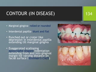 CONTOUR (IN DISEASE)
• Marginal gingiva- rolled or rounded
• Interdental papilla- blunt and flat
• Punched out or crater like
depression in interdental papilla
extending till marginal gingiva
• Exaggerated scalloping
apostrophe shaped indentation
extending from and into gingival
margin for varying distance on
facial surface (Stillman’s Cleft)
134
 