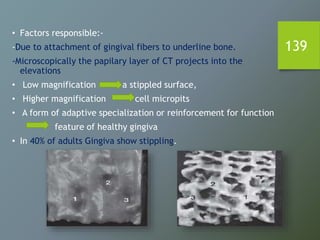 139
• Factors responsible:-
-Due to attachment of gingival fibers to underline bone.
-Microscopically the papilary layer of CT projects into the
elevations
• Low magnification a stippled surface,
• Higher magnification cell micropits
• A form of adaptive specialization or reinforcement for function
feature of healthy gingiva
• In 40% of adults Gingiva show stippling.
 