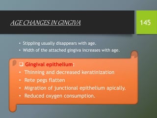 AGE CHANGES IN GINGIVA
• Stippling usually disappears with age.
• Width of the attached gingiva increases with age.
 Gingival epithelium:
• Thinning and decreased keratinization
• Rete pegs flatten
• Migration of junctional epithelium apically.
• Reduced oxygen consumption.
145
 
