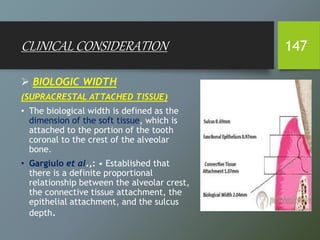 CLINICAL CONSIDERATION
 BIOLOGIC WIDTH
(SUPRACRESTAL ATTACHED TISSUE)
• The biological width is defined as the
dimension of the soft tissue, which is
attached to the portion of the tooth
coronal to the crest of the alveolar
bone.
• Gargiulo et al.,: • Established that
there is a definite proportional
relationship between the alveolar crest,
the connective tissue attachment, the
epithelial attachment, and the sulcus
depth.
147
 