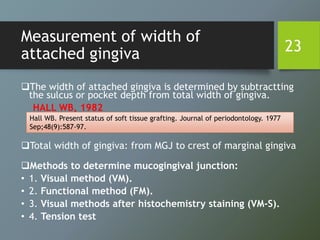 Measurement of width of
attached gingiva
The width of attached gingiva is determined by subtractting
the sulcus or pocket depth from total width of gingiva.
HALL WB, 1982
Total width of gingiva: from MGJ to crest of marginal gingiva
Methods to determine mucogingival junction:
• 1. Visual method (VM).
• 2. Functional method (FM).
• 3. Visual methods after histochemistry staining (VM-S).
• 4. Tension test
23
Hall WB. Present status of soft tissue grafting. Journal of periodontology. 1977
Sep;48(9):587-97.
 