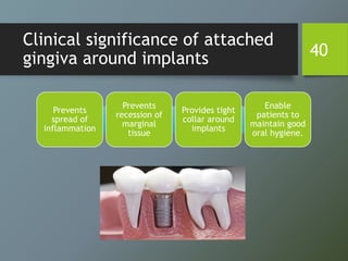 Clinical significance of attached
gingiva around implants
Prevents
spread of
inflammation
Prevents
recession of
marginal
tissue
Provides tight
collar around
implants
Enable
patients to
maintain good
oral hygiene.
40
 