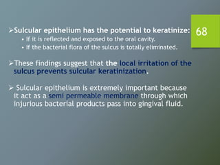 68Sulcular epithelium has the potential to keratinize:
• If it is reflected and exposed to the oral cavity.
• If the bacterial flora of the sulcus is totally eliminated.
These findings suggest that the local irritation of the
sulcus prevents sulcular keratinization.
 Sulcular epithelium is extremely important because
it act as a semi permeable membrane through which
injurious bacterial products pass into gingival fluid.
 