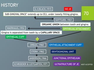 70
HISTORY
G.V.BLACK,1915
SUB-GINGIVAL SPACE‟ extends up to CEJ, under loosely fitting gingiva.
NO JE
GOTTLIEB, 1921
ORGANIC UNION between tooth and gingiva
EPITHELIAL ATTACHMENTWAERHAUG,1952
Gingiva is separated from tooth by a CAPILLARY SPACE
EPITHELIAL CUFF
ORBAN, 1960 EPITHELIAL ATTACHMENT CUFF
STERN ,1962 DENTOGINGIVAL UNIT
ANDERSON,1966
SCHROEDER & LISTGARTEN,1971
JUNCTIONAL EPITHELIUM
ULTRATRUCTURE OF JE MOST ACCEPTED
 