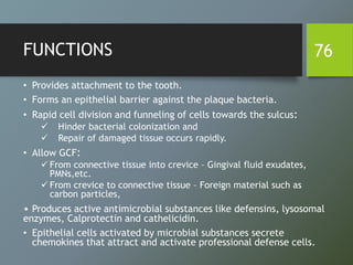 FUNCTIONS
• Provides attachment to the tooth.
• Forms an epithelial barrier against the plaque bacteria.
• Rapid cell division and funneling of cells towards the sulcus:
 Hinder bacterial colonization and
 Repair of damaged tissue occurs rapidly.
• Allow GCF:
 From connective tissue into crevice – Gingival fluid exudates,
PMNs,etc.
 From crevice to connective tissue – Foreign material such as
carbon particles,
• Produces active antimicrobial substances like defensins, lysosomal
enzymes, Calprotectin and cathelicidin.
• Epithelial cells activated by microbial substances secrete
chemokines that attract and activate professional defense cells.
76
 